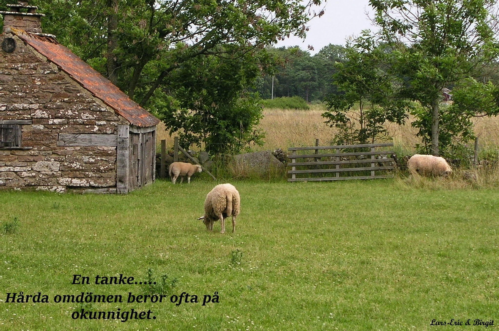P7250017-2.jpg